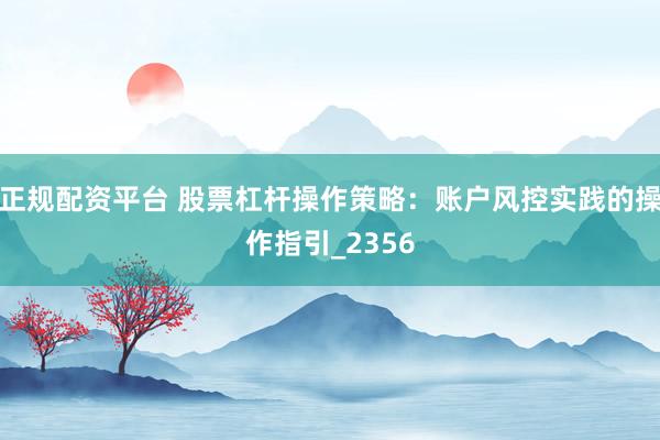 正规配资平台 股票杠杆操作策略：账户风控实践的操作指引_2356