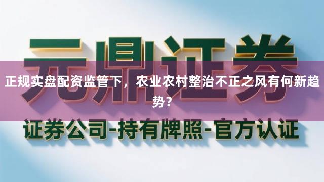 正规实盘配资监管下，农业农村整治不正之风有何新趋势？