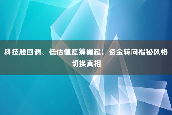 科技股回调、低估值蓝筹崛起!资金转向揭秘风格切换真相